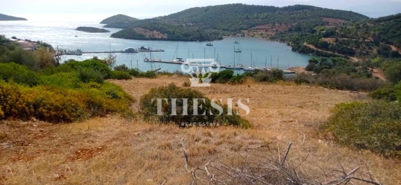 Οικόπεδο 1.700 τ.μ. προς πώληση, Τριζόνια