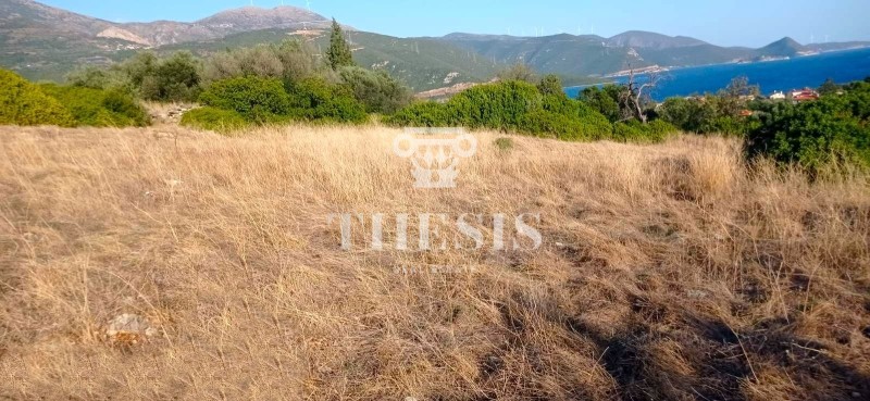Οικόπεδο 1.700 τ.μ. προς πώληση, Τριζόνια