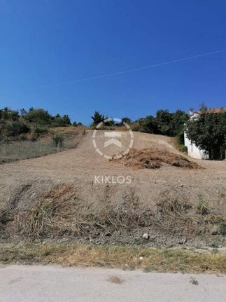 Land plot 1.295 sqm for sale, Chalkidiki, Pallini