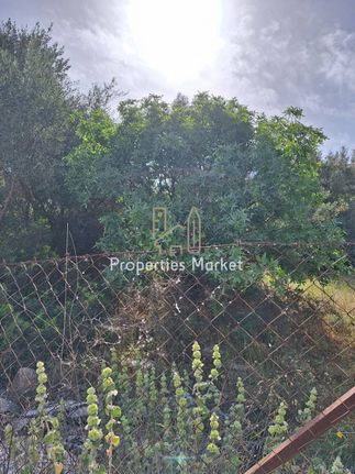 Οικόπεδο 600 τ.μ. για πώληση, Αττική - Υπόλοιπο, Ανάβυσσος