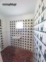 Κατάστημα 235 τ.μ. για πώληση, Αχαΐα, Μεσσατίδα-thumb-10