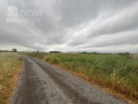 Αγροτεμάχια 4.690 τ.μ. για πώληση