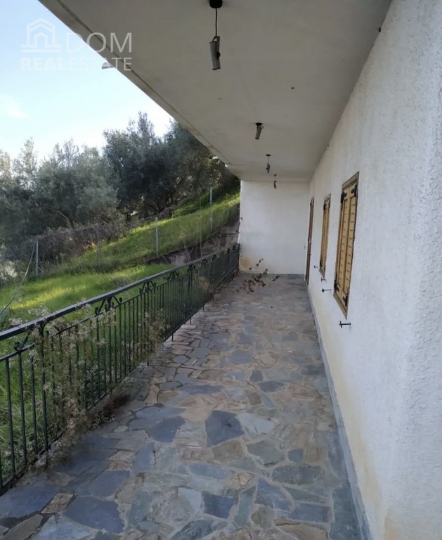 Μονοκατοικία 164 τ.μ. προς πώληση, Μελιδόνι Δαφνουσών