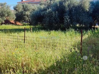 Land plot 737 sqm for sale