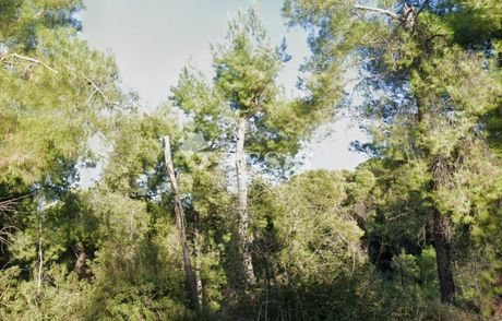 Οικόπεδο 1.068τ.μ. για πώληση-Μαλεσίνα » Θεολόγος