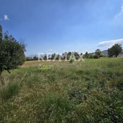 Land plot 501 sqm for sale, Phthiotis, Lamia
