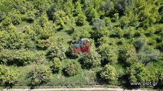 Αγροτεμάχια 8.500 τ.μ. για πώληση