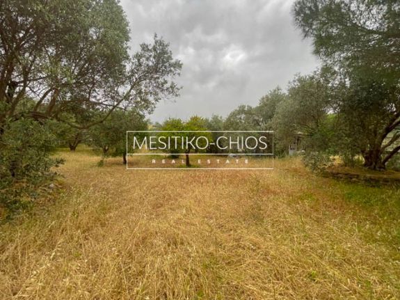 Land plot 5.845 sqm for sale, Chios Prefecture, Chios