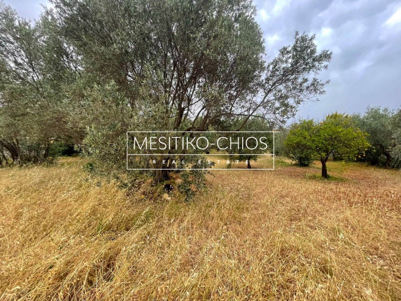Οικόπεδο 5.845 τ.μ. προς πώληση, Πόλη Χίου