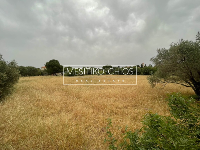 Μονοκατοικία 49,31 τ.μ. πρός πώληση, Ν. Χίου, Χίος
