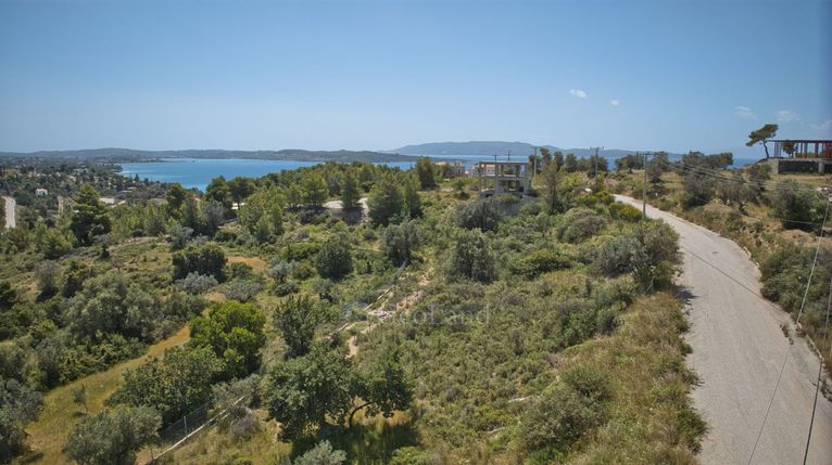 Οικόπεδο 400 τ.μ. για πώληση, Αργολίδα, Κρανίδι