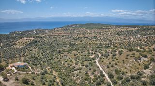 Αγροτεμάχια 2.000 τ.μ. για πώληση, Αργολίδα, Κρανίδι-thumb-11