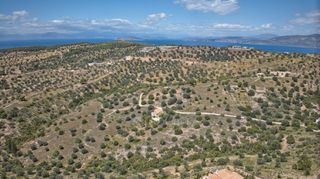 Αγροτεμάχια 2.000 τ.μ. για πώληση, Αργολίδα, Κρανίδι-thumb-12