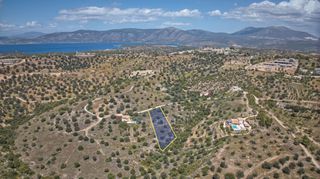 Αγροτεμάχια 2.000 τ.μ. για πώληση, Αργολίδα, Κρανίδι-thumb-1