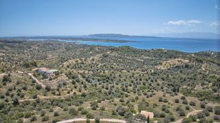Αγροτεμάχια 2.000 τ.μ. για πώληση, Αργολίδα, Κρανίδι-thumb-20