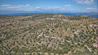 Αγροτεμάχια 2.000 τ.μ. για πώληση, Αργολίδα, Κρανίδι-thumb-15
