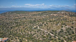 Αγροτεμάχια 2.000 τ.μ. για πώληση, Αργολίδα, Κρανίδι-thumb-10