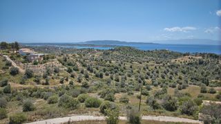 Αγροτεμάχια 2.000 τ.μ. για πώληση, Αργολίδα, Κρανίδι-thumb-3