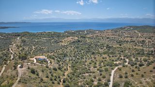 Αγροτεμάχια 2.000 τ.μ. για πώληση, Αργολίδα, Κρανίδι-thumb-9