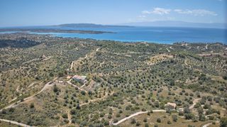 Αγροτεμάχια 2.000 τ.μ. για πώληση, Αργολίδα, Κρανίδι-thumb-8