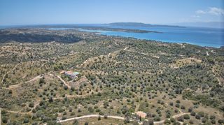 Αγροτεμάχια 2.000 τ.μ. για πώληση, Αργολίδα, Κρανίδι-thumb-4