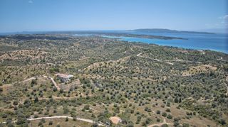 Αγροτεμάχια 2.000 τ.μ. για πώληση, Αργολίδα, Κρανίδι-thumb-21