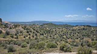 Αγροτεμάχια 2.000 τ.μ. για πώληση, Αργολίδα, Κρανίδι-thumb-7