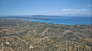 Αγροτεμάχια 2.000 τ.μ. για πώληση, Αργολίδα, Κρανίδι-thumb-24