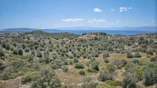 Αγροτεμάχια 2.000 τ.μ. για πώληση, Αργολίδα, Κρανίδι-thumb-23