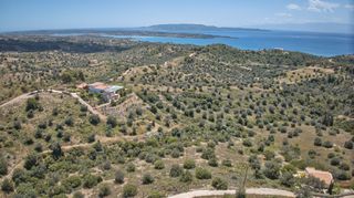 Αγροτεμάχια 2.000 τ.μ. για πώληση, Αργολίδα, Κρανίδι-thumb-6