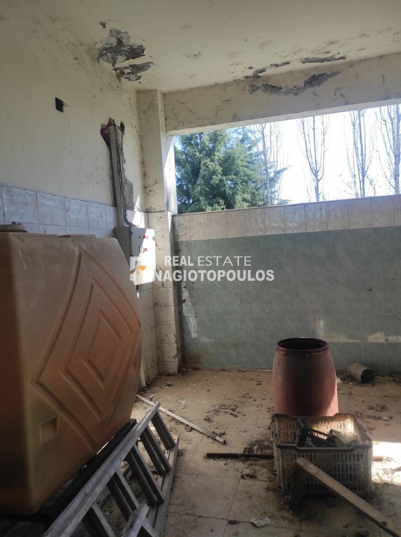 Επιχειρηματικό κτίριο 650 τ.μ. πρός πώληση, Ημαθία, Αλεξάνδρεια