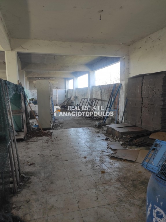 Επιχειρηματικό κτίριο 650 τ.μ. πρός πώληση, Ημαθία, Αλεξάνδρεια