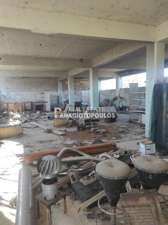Επιχειρηματικό κτίριο 650 τ.μ. πρός πώληση, Ημαθία, Αλεξάνδρεια