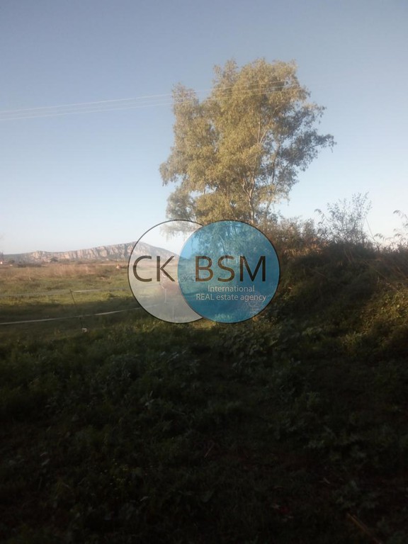 Αγροτεμάχια 64.500 τ.μ. προς πώληση, Μεσσηνία, Πύλος