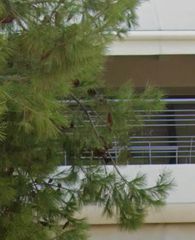Διαμέρισμα 48 τ.μ. για πώληση