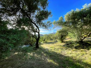 Οικόπεδο 3.560 τ.μ. πρός πώληση, Ν. Ρεθύμνου, Φοινίκας-thumb-1