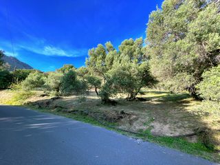 Οικόπεδο 3.560 τ.μ. για πώληση