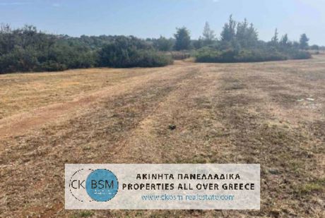 Parcel 11.523sqm for sale-Kranidi » Ververouda