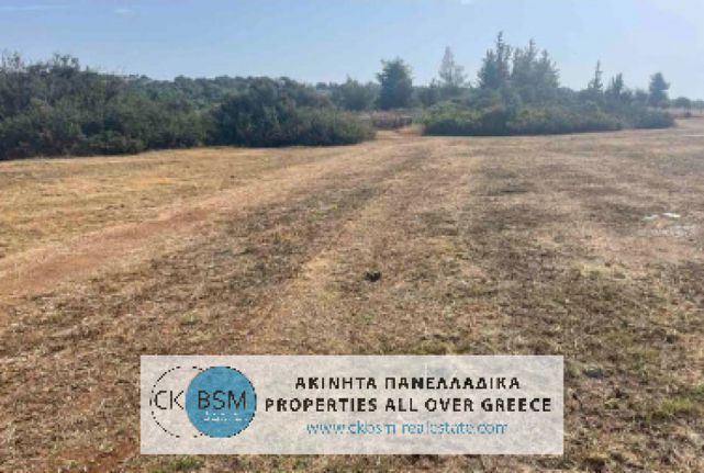 Αγροτεμάχια 11.523 τ.μ. για πώληση, Αργολίδα, Κρανίδι