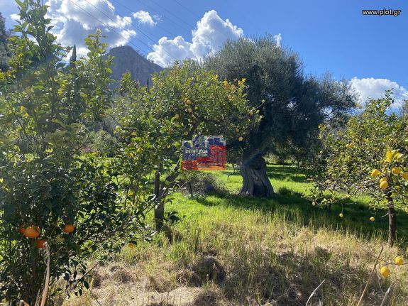 Οικόπεδο 2.084 τ.μ. για πώληση, Αχαΐα, Διακοπτό