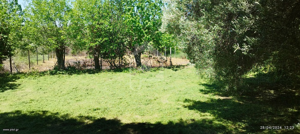 Οικόπεδο 701 τ.μ. πρός πώληση, Χαλκιδική, Παλλήνη