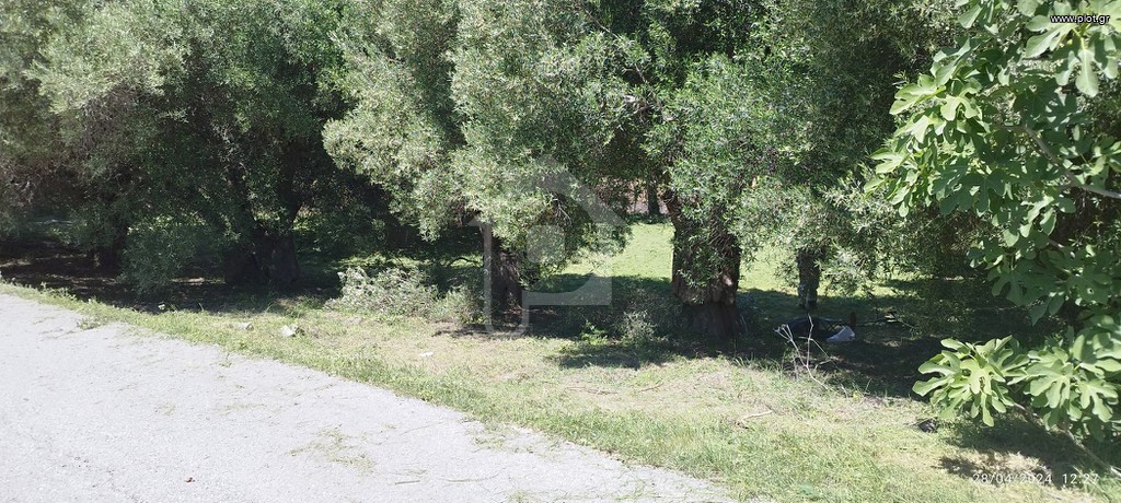 Οικόπεδο 701 τ.μ. πρός πώληση, Χαλκιδική, Παλλήνη