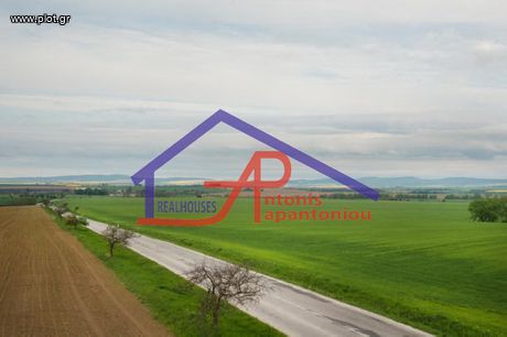 Parcel 16.500 sqm for sale
