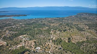 Αγροτεμάχια 32.000 τ.μ. προς πώληση, Βερβερούδα-thumb-8
