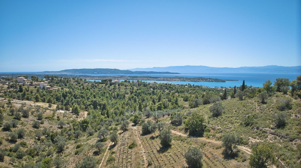 Αγροτεμάχια 32.000 τ.μ. προς πώληση, Βερβερούδα