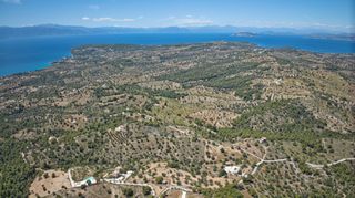 Αγροτεμάχια 32.000 τ.μ. προς πώληση, Βερβερούδα-thumb-20