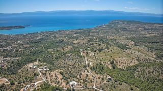 Αγροτεμάχια 32.000 τ.μ. προς πώληση, Βερβερούδα-thumb-9