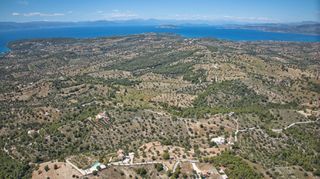 Αγροτεμάχια 32.000 τ.μ. προς πώληση, Βερβερούδα-thumb-23