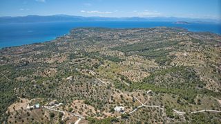 Αγροτεμάχια 32.000 τ.μ. προς πώληση, Βερβερούδα-thumb-18
