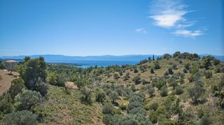 Αγροτεμάχια 32.000 τ.μ. προς πώληση, Βερβερούδα-thumb-13